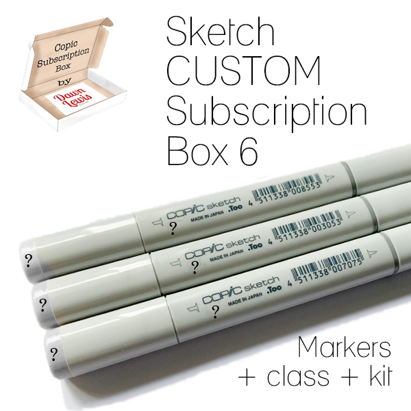 Subscription Box 6 Sketch Custom