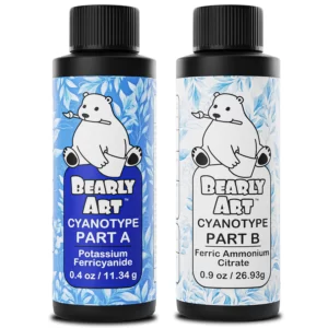 Bearly Art Cubies The Polar Collection